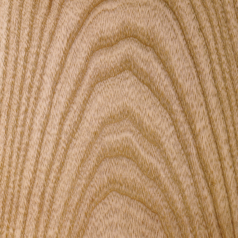 Ash wood grain