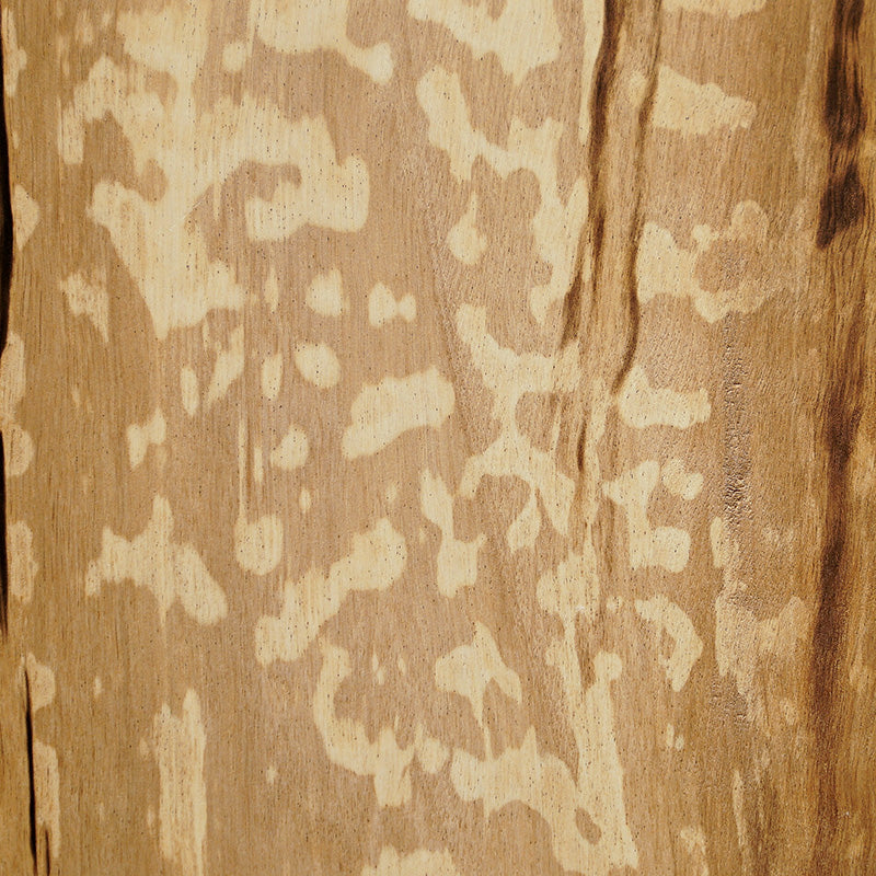 Hornbeam wood grain