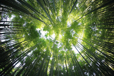 Our Tips for Boosting Wellbeing in Challenging Times