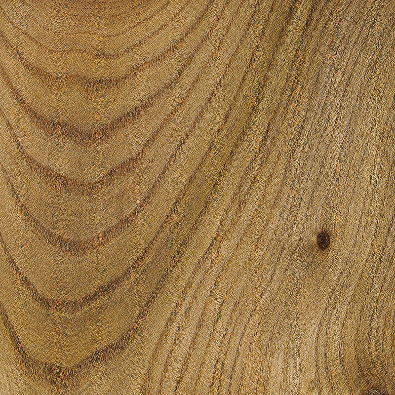 Elm wood grain
