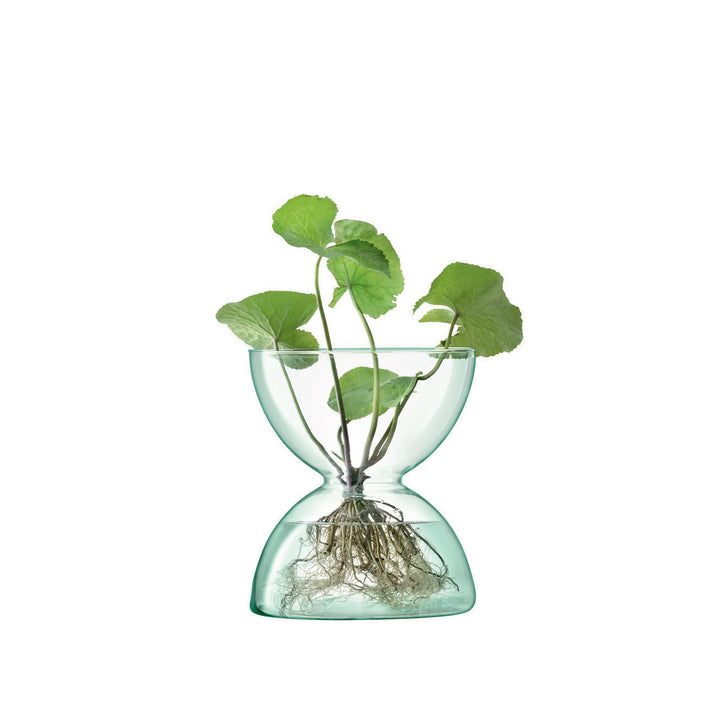 LSA- recycled glass planter- plants- homeware