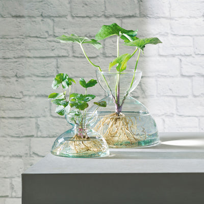 LSA- recycled glass planter- plants- homeware