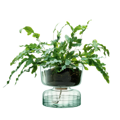 LSA- recycled glass planter- kitchenware